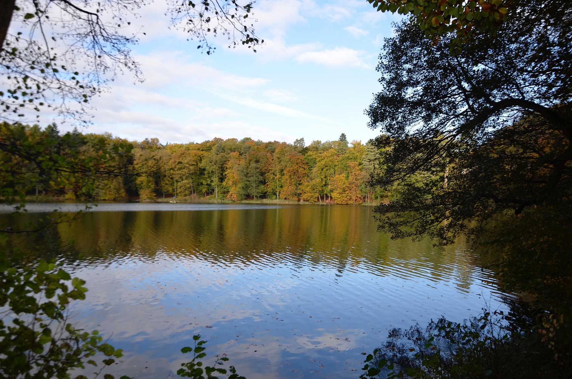 Naturpark Lauenburgische Seen - Nicole Gor